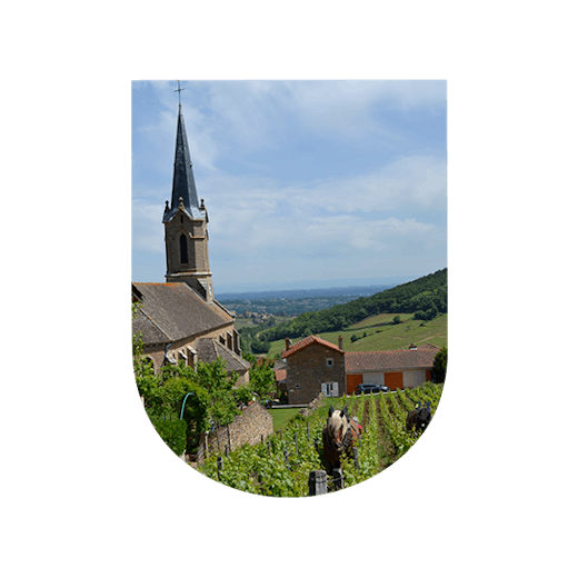 Domaine Olivier Merlin, vin Bourgogne, U'wine